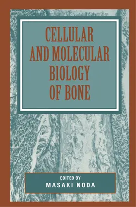 Noda |  Cellular and Molecular Biology of Bone | eBook | Sack Fachmedien