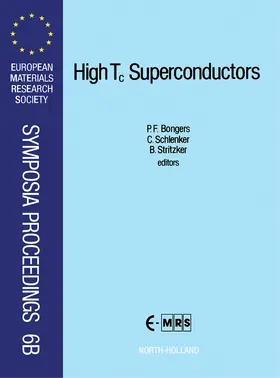 Bongers / Schlenker / Stritzker |  High Tc Superconductors | eBook | Sack Fachmedien