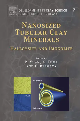 Yuan / Thill / Bergaya | Nanosized Tubular Clay Minerals | E-Book | sack.de