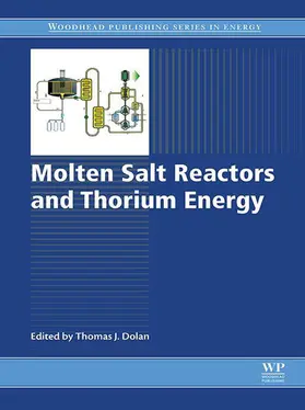 Dolan | Molten Salt Reactors and Thorium Energy | E-Book | sack.de