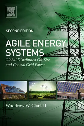 Clark II | Agile Energy Systems | E-Book | sack.de