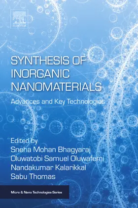 Bhagyaraj / Samuel Oluwafemi / Kalarikkal |  Synthesis of Inorganic Nanomaterials | eBook | Sack Fachmedien