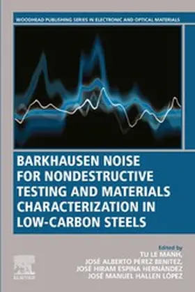 Manh / Benitez / Hernandez | Barkhausen Noise for Non-destructive Testing and Materials Characterization in Low Carbon Steels | E-Book | sack.de