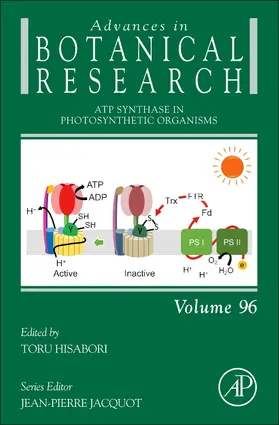  ATP Synthase in Photosynthetic Organisms | Buch |  Sack Fachmedien