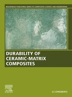 Li |  Durability of Ceramic-Matrix Composites | eBook | Sack Fachmedien