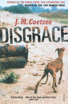 Coetzee | Disgrace | Buch | 978-0-09-928952-4 | www2.sack.de