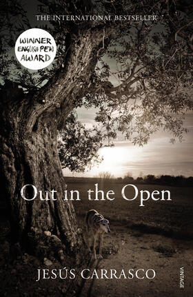 Carrasco | Out in the Open | Buch | 978-0-09-958218-2 | www2.sack.de