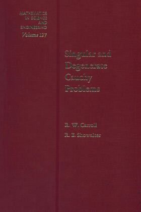 Torokhti / Howlett |  Computational Methods for Modeling of Nonlinear Systems | Buch |  Sack Fachmedien