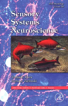 Hara / Zielinski |  Fish Physiology: Sensory Systems Neuroscience | Buch |  Sack Fachmedien