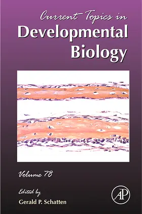  Current Topics in Developmental Biology | Buch |  Sack Fachmedien