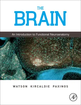 Watson / Paxinos / Kirkcaldie |  The Brain | Buch |  Sack Fachmedien