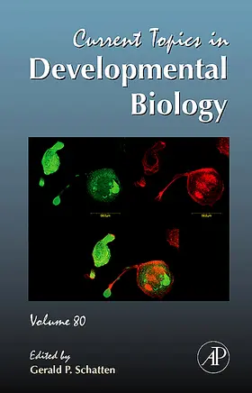  Current Topics in Developmental Biology | Buch |  Sack Fachmedien