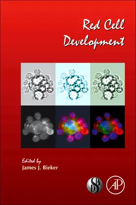 Red Cell Development | Buch |  Sack Fachmedien