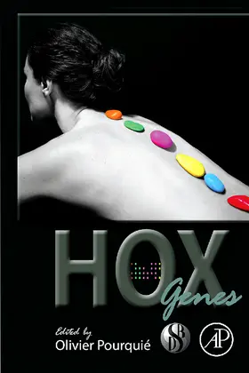  HOX Genes | Buch |  Sack Fachmedien