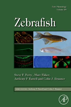  Fish Physiology: Zebrafish | Buch |  Sack Fachmedien