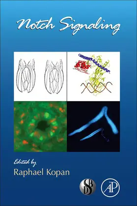 Kopan |  Notch Signaling | eBook | Sack Fachmedien