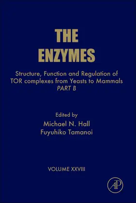  Structure, Function and Regulation of TOR complexes from Yeasts to Mammals | Buch |  Sack Fachmedien