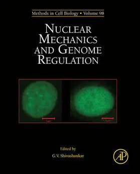 Shivashankar |  Nuclear Mechanics and Genome Regulation | eBook | Sack Fachmedien