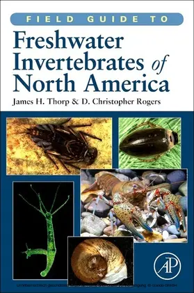 Thorp / Rogers |  Field Guide to Freshwater Invertebrates of North America | eBook | Sack Fachmedien