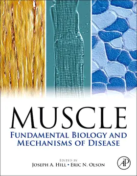 Hill / Olson |  Muscle 2-Volume Set | Buch |  Sack Fachmedien