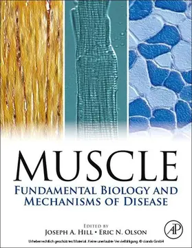 Hill / Olson |  Muscle 2-Volume Set | eBook | Sack Fachmedien