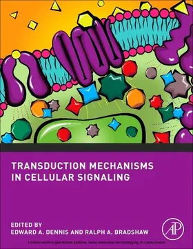 Dennis / Bradshaw |  Transduction Mechanisms in Cellular Signaling | eBook | Sack Fachmedien