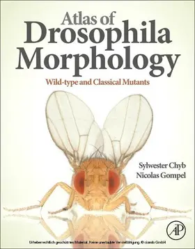 Chyb / Gompel | Atlas of Drosophila Morphology | E-Book | sack.de