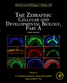 The Zebrafish: Cellular and Developmental Biology, Part A | Buch | 978-0-12-384892-5 | sack.de