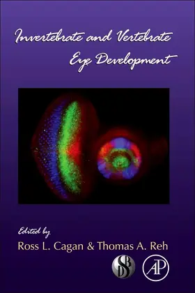  Invertebrate and Vertebrate Eye Development | eBook | Sack Fachmedien