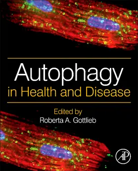 Gottlieb |  Autophagy in Health and Disease | Buch |  Sack Fachmedien