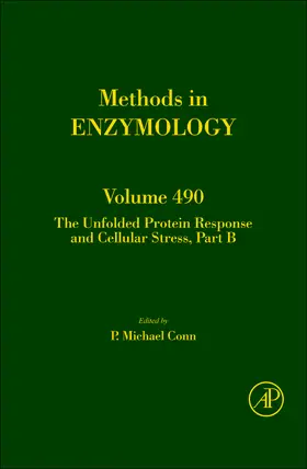 Conn |  The Unfolded Protein Response and Cellular Stress, Part B | Buch |  Sack Fachmedien