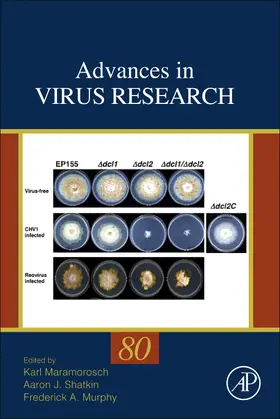 Maramorosch / Shatkin | Advances in Virus Research | Buch | 978-0-12-385987-7 | sack.de