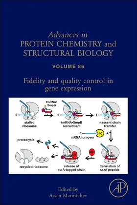 Marintchev |  Fidelity and Quality Control in Gene Expression | eBook | Sack Fachmedien