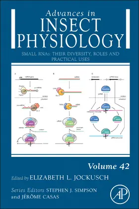  Small RNAs: their diversity, roles and practical uses | Buch |  Sack Fachmedien