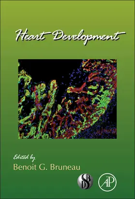 Heart Development | Buch | 978-0-12-387786-4 | sack.de