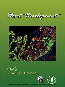  Heart Development | eBook | Sack Fachmedien