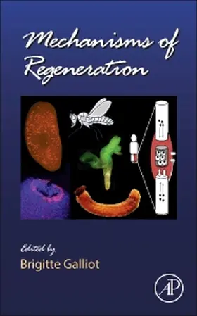Mechanisms of Regeneration | Buch | 978-0-12-391498-9 | www2.sack.de