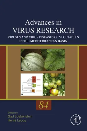 Loebenstein / Lecoq |  Viruses and Virus Diseases of Vegetables in the Mediterranean Basin | eBook | Sack Fachmedien
