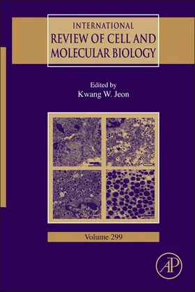 Jeon |  International Review of Cell and Molecular Biology | eBook | Sack Fachmedien