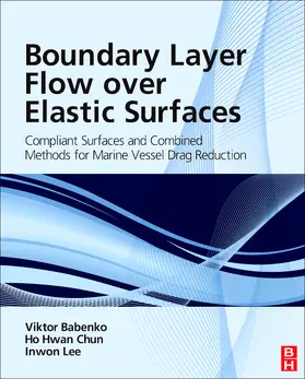 Chun / Babenko / Lee |  Boundary Layer Flow over Elastic Surfaces | eBook | Sack Fachmedien