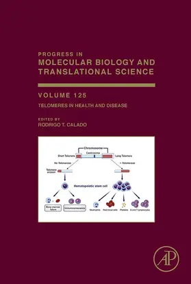 Calado |  Telomeres in Health and Disease | eBook | Sack Fachmedien