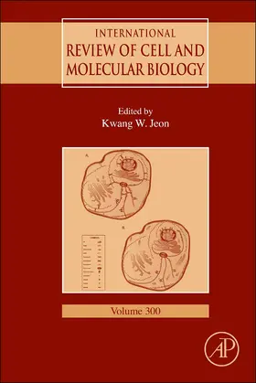 Jeon |  International Review of Cell and Molecular Biology | Buch |  Sack Fachmedien