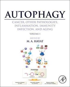 Hayat |  Autophagy: Cancer, Other Pathologies, Inflammation, Immunity, Infection, and Aging | Buch |  Sack Fachmedien