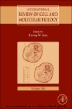 Jeon | International Review of Cell and Molecular Biology | E-Book | sack.de