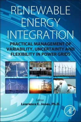 Jones | Renewable Energy Integration | Buch | 978-0-12-407910-6 | www2.sack.de