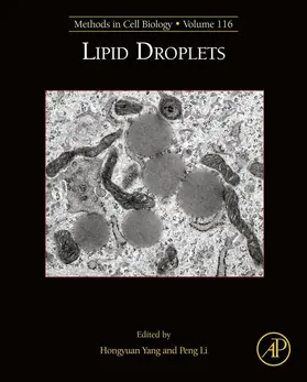 Yang / Li |  Lipid Droplets | eBook | Sack Fachmedien