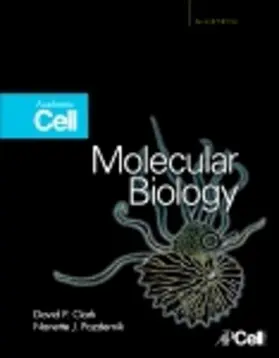 Clark / Pazdernik |  Molecular Biology | eBook | Sack Fachmedien
