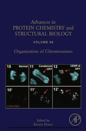 Donev |  Organisation of Chromosomes | eBook | Sack Fachmedien