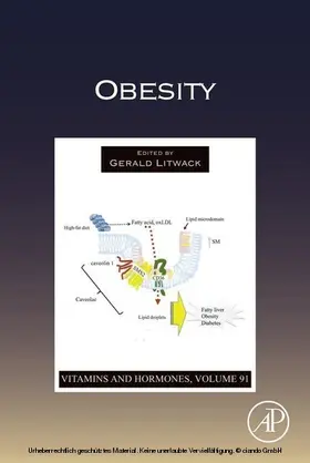 Litwack | Obesity | E-Book | sack.de