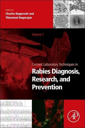 Rupprecht / Nagarajan |  Current Laboratory Techniques in Rabies Diagnosis, Research | Buch |  Sack Fachmedien